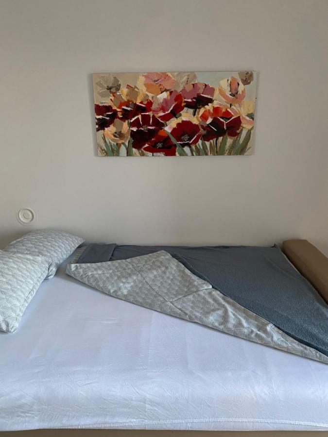 Apartman Colapis- Self Check In, Free Parking, Premium Location! Karlovac Exterior photo